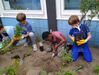 Grundschule St. Nikolai: Natur an der Schule und die Wildnis der Seepferdchen